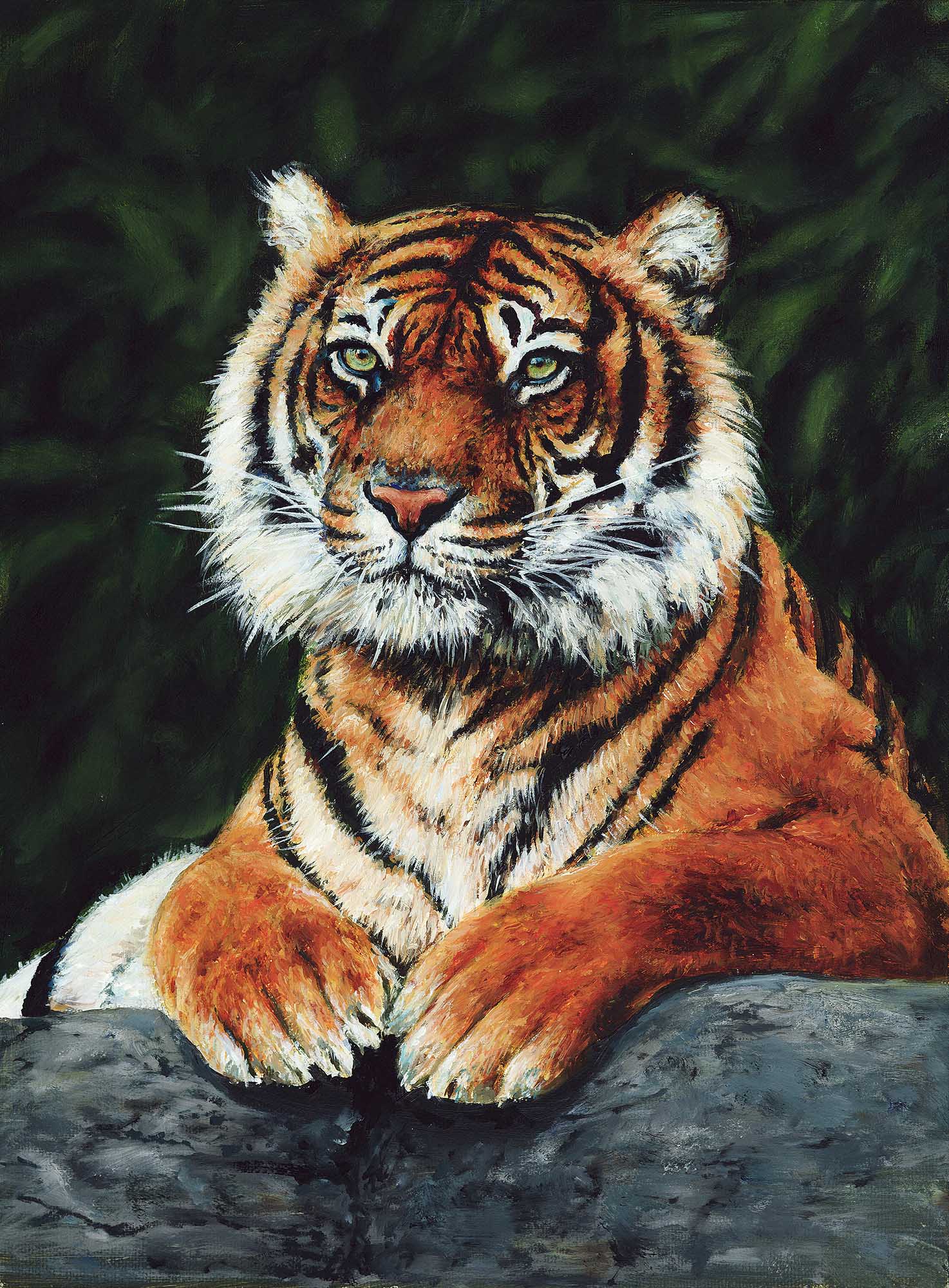 Resting Tiger